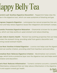 Happy Belly - Herbal Organic Loose Leaf Tea - Daily Ritual Apothecary