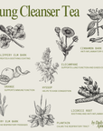 Lung Cleanser - Herbal Organic Loose Leaf Tea - Daily Ritual Apothecary