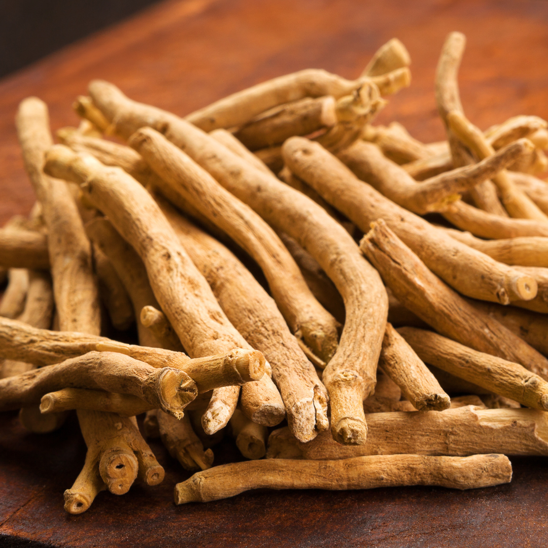 Ashwagandha Root - Withania somnifera