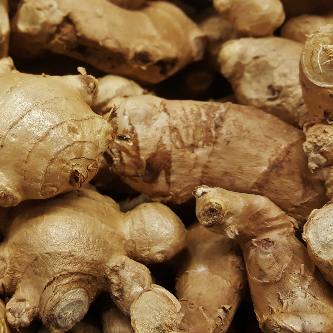 Ginger Root - Zingiber officinale