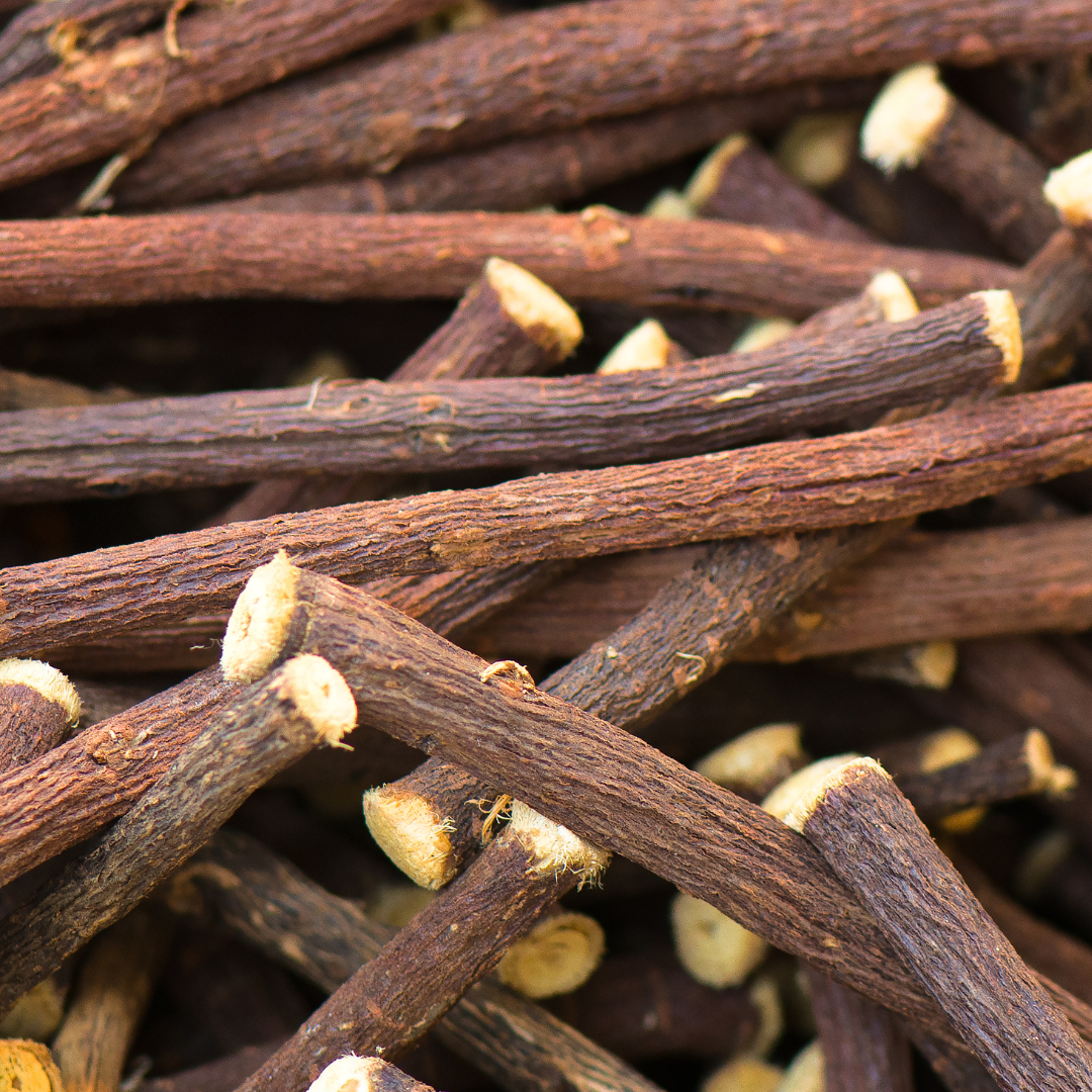 Licorice Root - Glycyrrhiza glabra