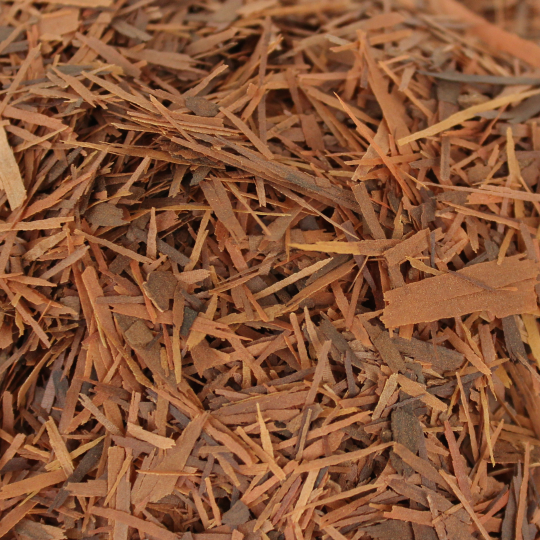 Pau d'Arco Bark - Tabebuia impetiginosa