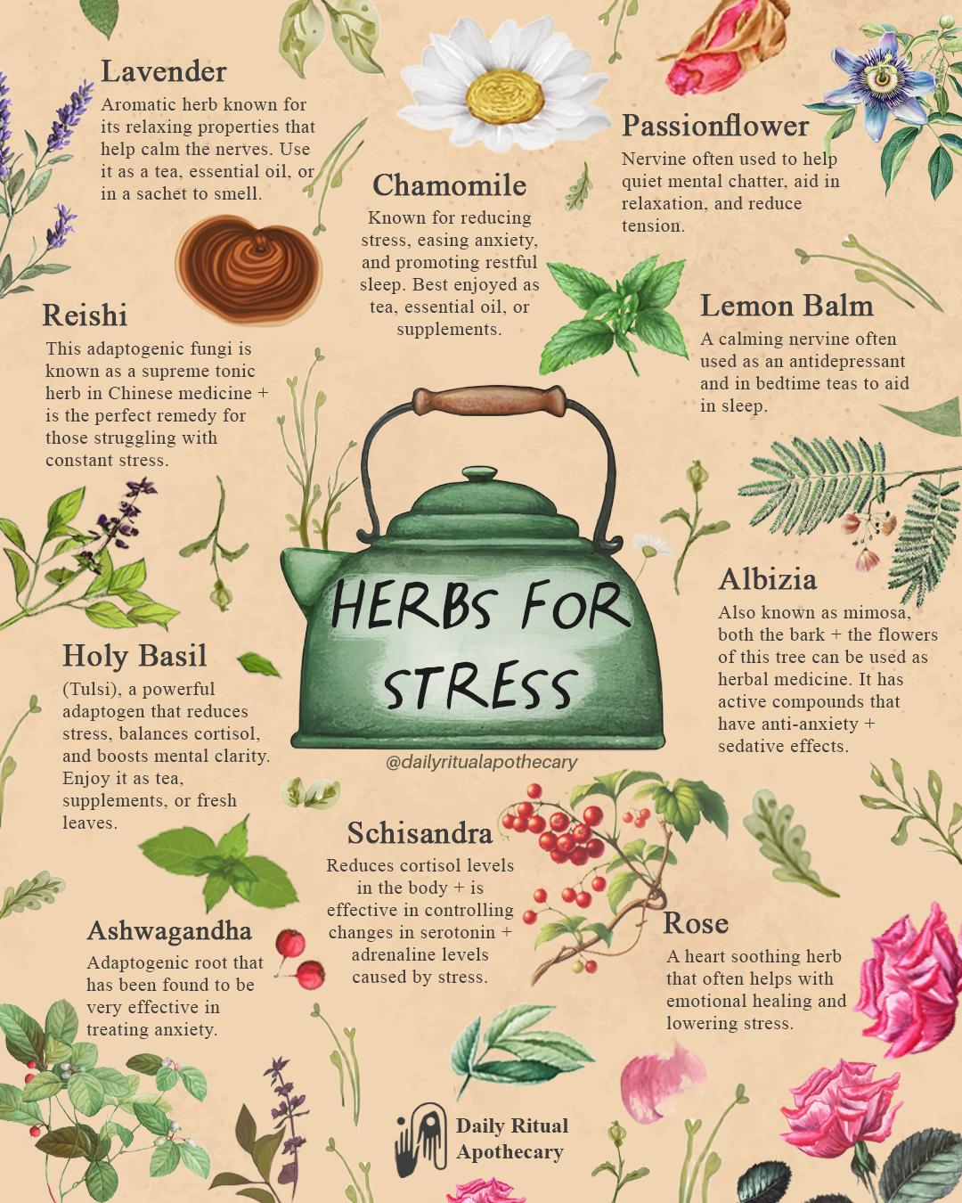 Herbs for Stress: Natural Remedies to Calm the Mind and Body